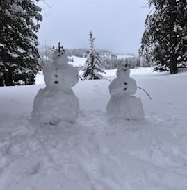 twee sneeuwpoppen